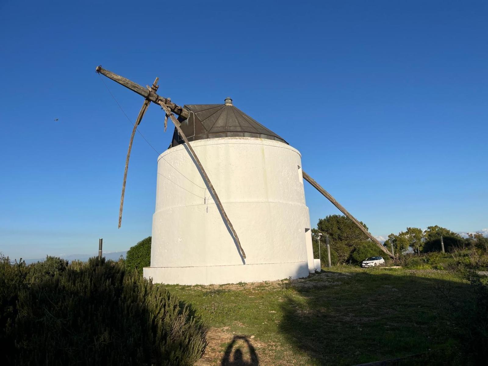 Estudio Los Mellis Vejer de la Frontera Exteriör bild