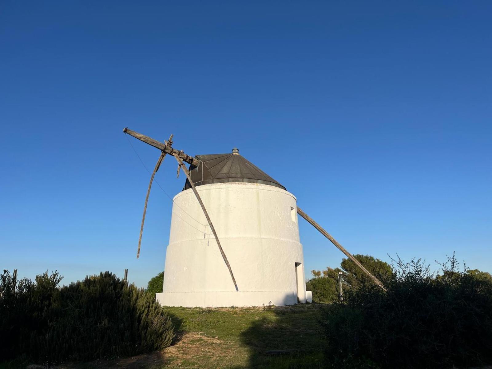 Estudio Los Mellis Vejer de la Frontera Exteriör bild